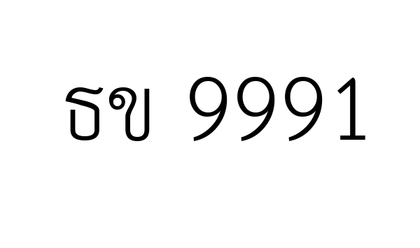 ธข 9991